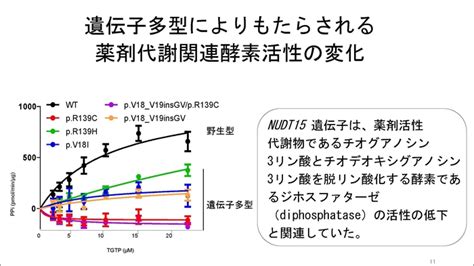 魚的視野|三重大Rナビ 